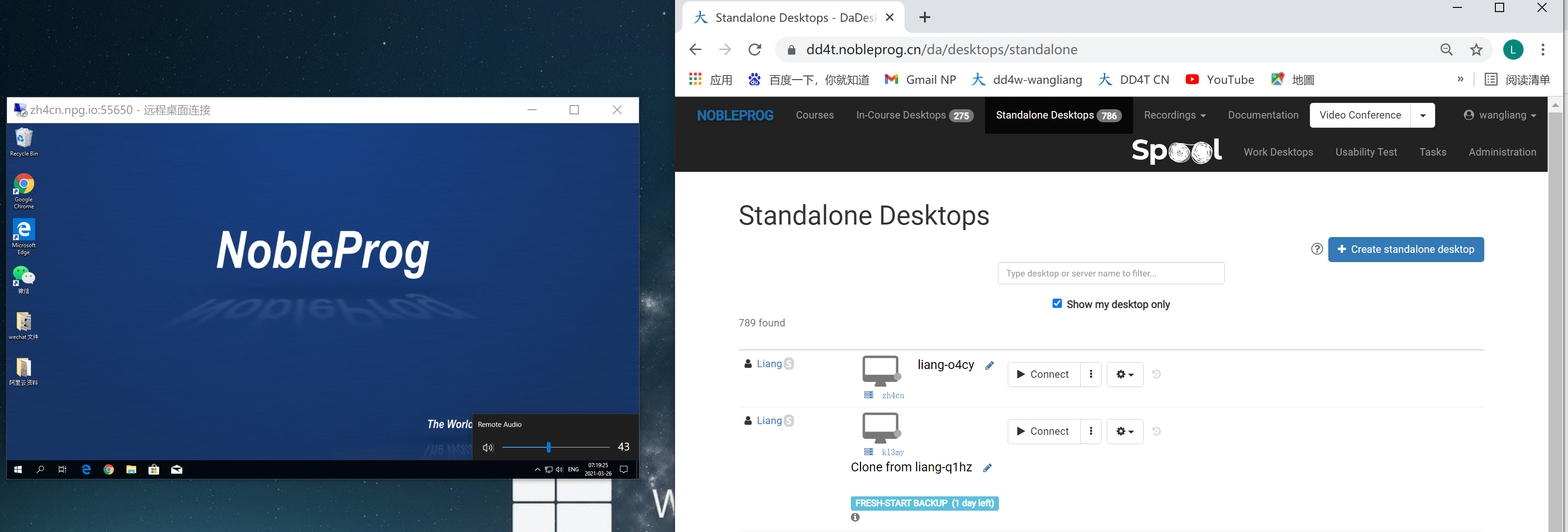 DD-Remote-Desktop-Fenster mit Audio